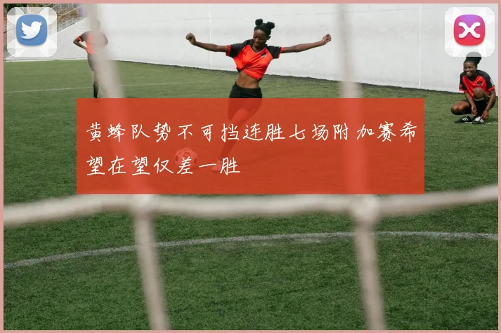 黄蜂队势不可挡连胜七场附加赛希望在望仅差一胜